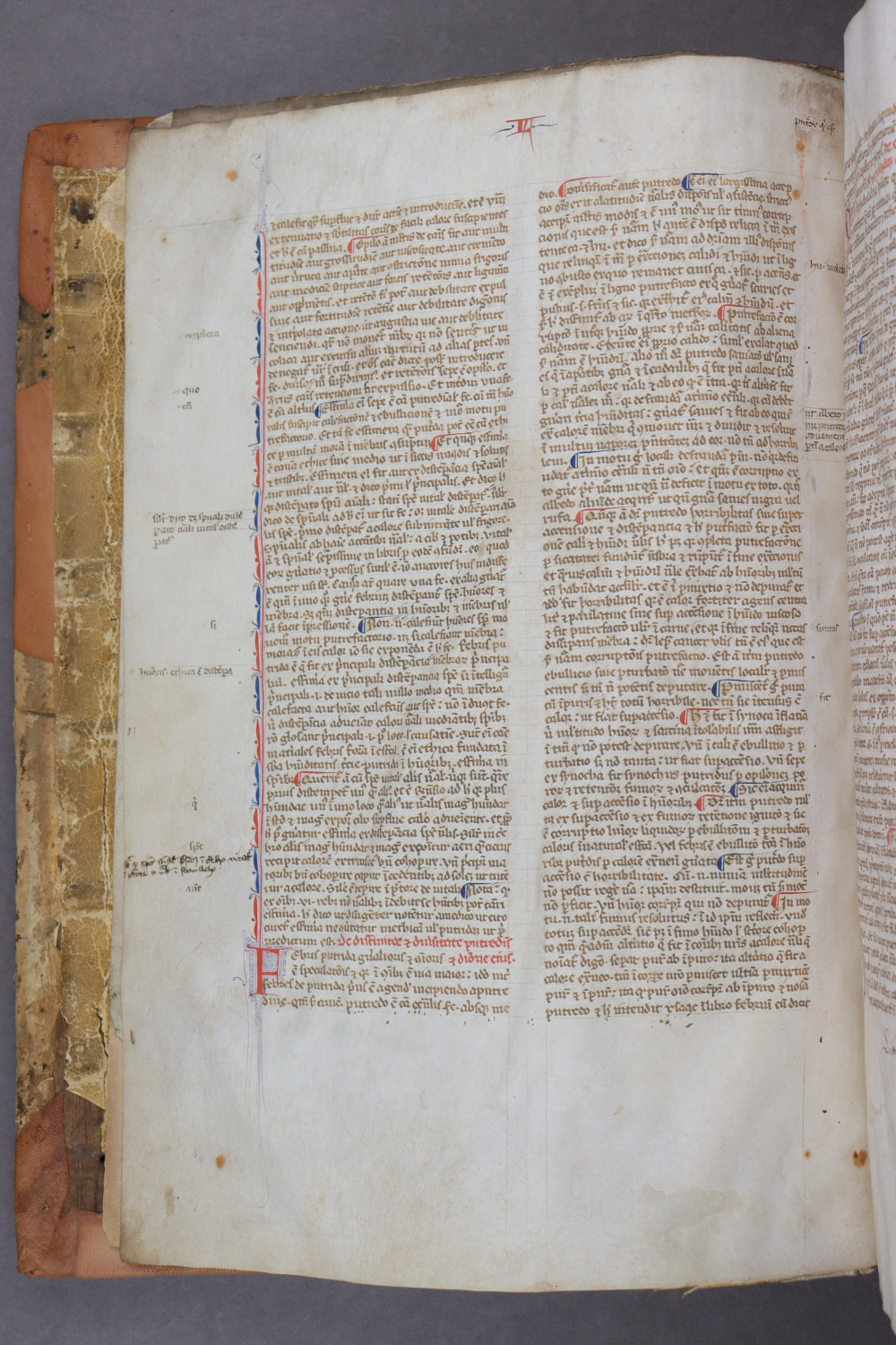 Folio 1 verso